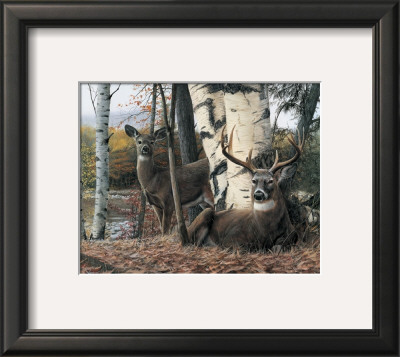 Autumn’S Majesty by Kevin Daniel Pricing Limited Edition Print image