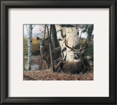 Autumn's Majesty by Kevin Daniel Pricing Limited Edition Print image