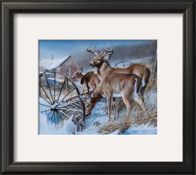 Snow Drifters by Kevin Daniel Pricing Limited Edition Print image