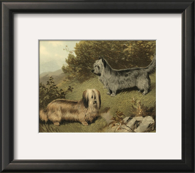 Terriers by Vero Shaw Pricing Limited Edition Print image