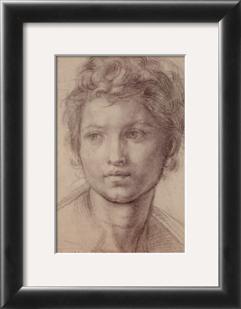 Study For San Giovanni by Andrea Del Sarto Pricing Limited Edition Print image