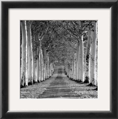 Epernay, France by Charlie Waite Pricing Limited Edition Print image