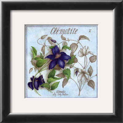 Clematite by Vincent Jeannerot Pricing Limited Edition Print image