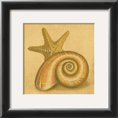 Shell And Starfish by Jose Gomez Pricing Limited Edition Print image