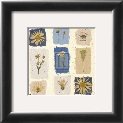 Meadow Flowers I by Julie Lavender Pricing Limited Edition Print image