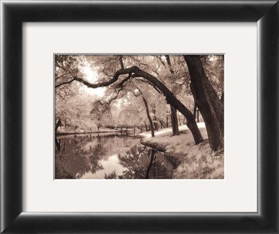 Daydream by Mike Jones Pricing Limited Edition Print image