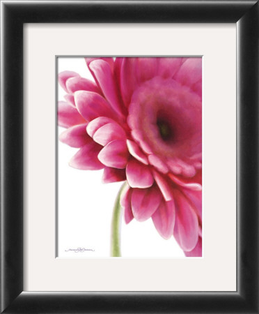 Pretty In Pink by Annemarie Peter-Jaumann Pricing Limited Edition Print image