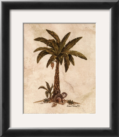 Monkey And Palm Ii by Dianne Krumel Pricing Limited Edition Print image