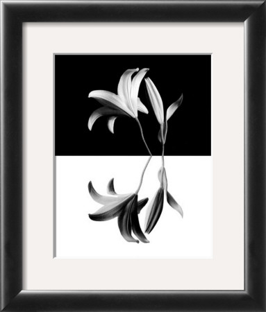 Lily by Ralph Chermak Pricing Limited Edition Print image