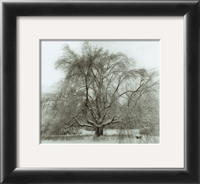 Winter by Richard Calvo Pricing Limited Edition Print image