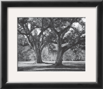 Oak Grove I by Boyce Watt Pricing Limited Edition Print image