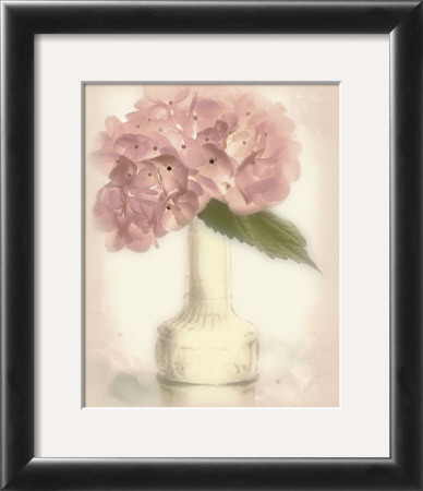 Lovely Hydrangea by Donna Geissler Pricing Limited Edition Print image