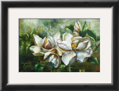 Dawning Magnolias by Fangyu Meng Pricing Limited Edition Print image