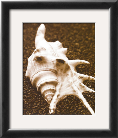 Sea Gallery I by Boyce Watt Pricing Limited Edition Print image