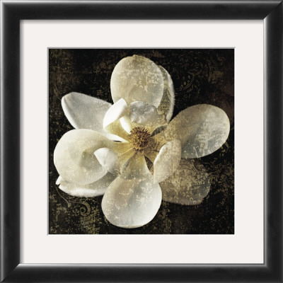 Magnolia I by John Seba Pricing Limited Edition Print image