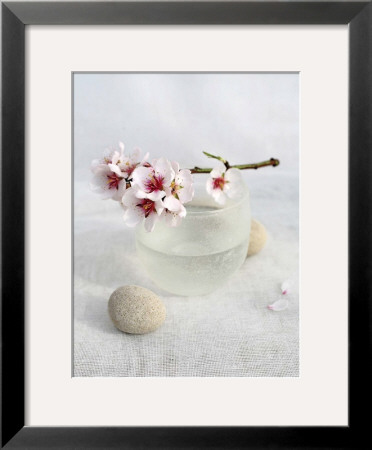 Almond Tree by Amelie Vuillon Pricing Limited Edition Print image