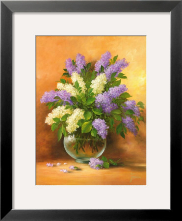 Smell Of Lilac Ii by Fasani Pricing Limited Edition Print image