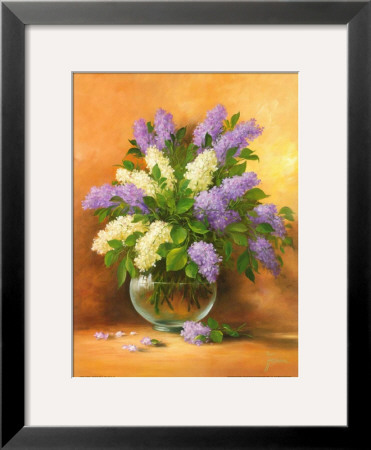 Smell Of Lilac Ii by Fasani Pricing Limited Edition Print image