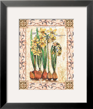 Provincial Narcissus by Walter Robertson Pricing Limited Edition Print image
