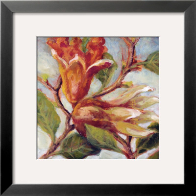 Seasonal Pomegranate Iii by Nicole Etienne Pricing Limited Edition Print image