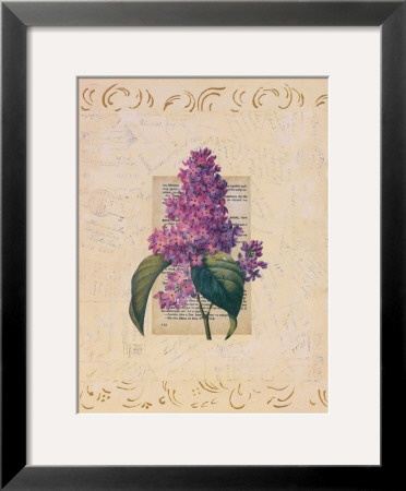 Garden Botanical L by Jan Weiss Pricing Limited Edition Print image
