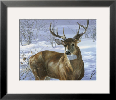 Through My Window: Whitetail Deer by Joni Johnson-Godsy Pricing Limited Edition Print image