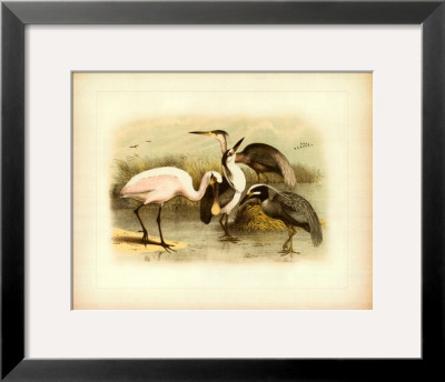 Egret And Heron by Jacob Studer Pricing Limited Edition Print image