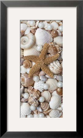 Shell Menagerie Ii by Rachel Perry Pricing Limited Edition Print image