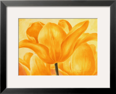 Golden Tulip by Susanne Bach Pricing Limited Edition Print image