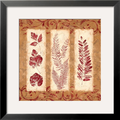Art Of Nature I by Jane Carroll Pricing Limited Edition Print image