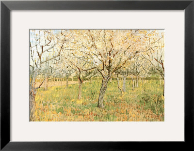 Orchard In Blossom by Vincent Van Gogh Pricing Limited Edition Print image