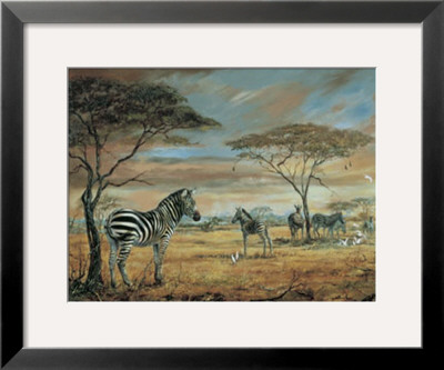 Zebras On The Plains by Silvia Duran Pricing Limited Edition Print image