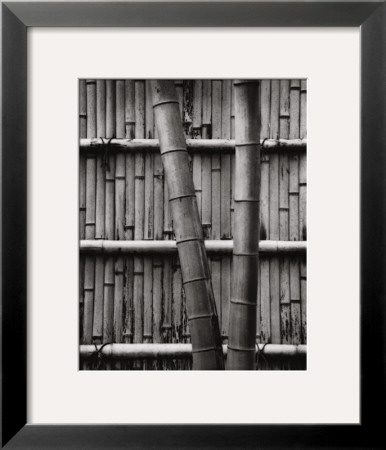 Bamboo And Wall by Jeff Zaruba Pricing Limited Edition Print image