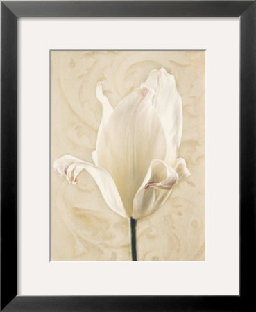 Chiaroscuro I by Amy Melious Pricing Limited Edition Print image