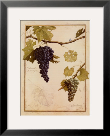 Cabernet Sauvignon by Meg Page Pricing Limited Edition Print image