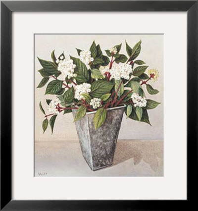 Dogwood by Galley Pricing Limited Edition Print image