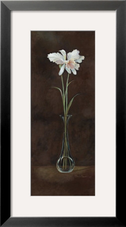 Beauty Of Orchids I by Ruane Manning Pricing Limited Edition Print image
