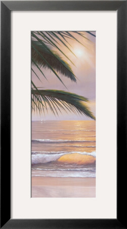 Paradiso Panel Ii by Diane Romanello Pricing Limited Edition Print image