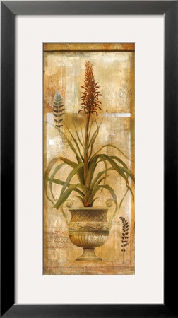 Rojo Botanical Ii by Edwin Douglas Pricing Limited Edition Print image