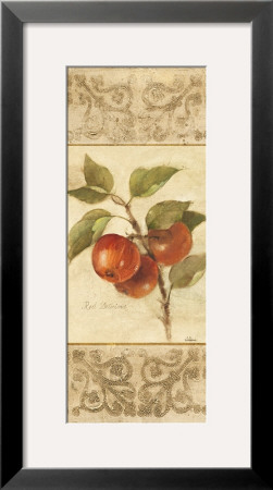 Apple Botanical Brocade Ii by Albena Hristova Pricing Limited Edition Print image