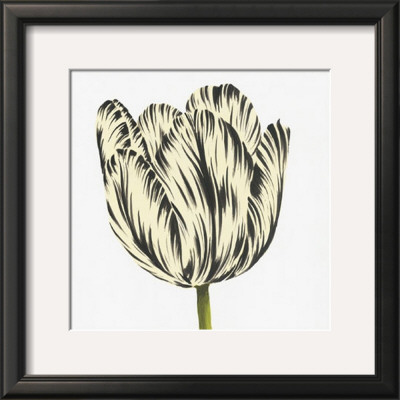 Black And White Tulip by Miriam Bedia Pricing Limited Edition Print image
