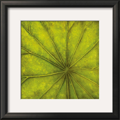 Palm Green by Caroline Wenig Pricing Limited Edition Print image
