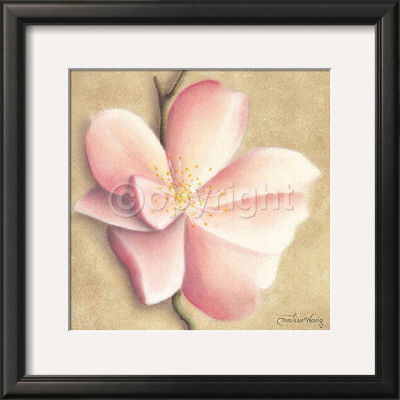 Apple Blossom Ii by Caroline Wenig Pricing Limited Edition Print image