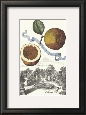 Pomo D'adamo by Johann Christof Volckamer Pricing Limited Edition Print image