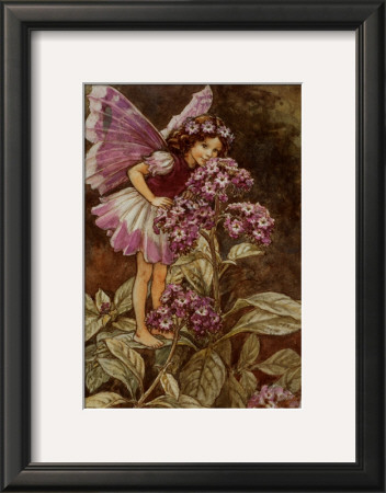 The Heliotrope Fairy by Cicely Mary Barker Pricing Limited Edition Print image