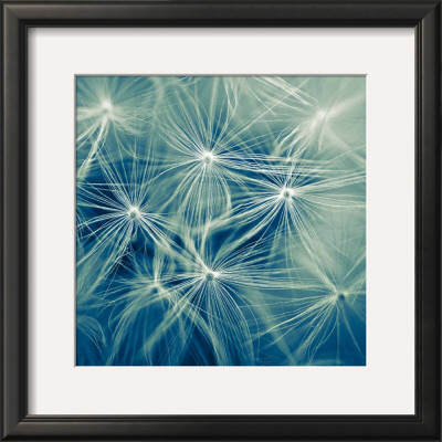 Nebulos by Jean-François Dupuis Pricing Limited Edition Print image