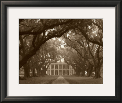 Oak Alley by Cindy Mcintyre Pricing Limited Edition Print image