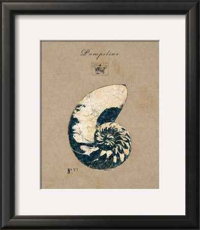 Vintage Linen Nautilus by Regina-Andrew Design Pricing Limited Edition Print image