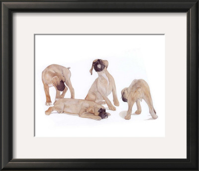 Puppies And Kittens Iii by D. Patrian Pricing Limited Edition Print image