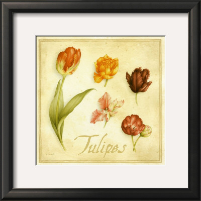 Tulipes by Vincent Perriol Pricing Limited Edition Print image